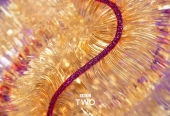 BBC2 – Christmas Ident